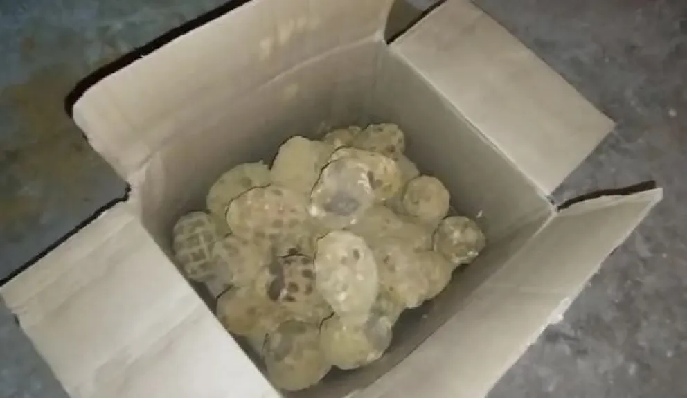 La caja con las granadas que se encontró en un depósito de la Terminal de Buses de La Paz. Foto. APG