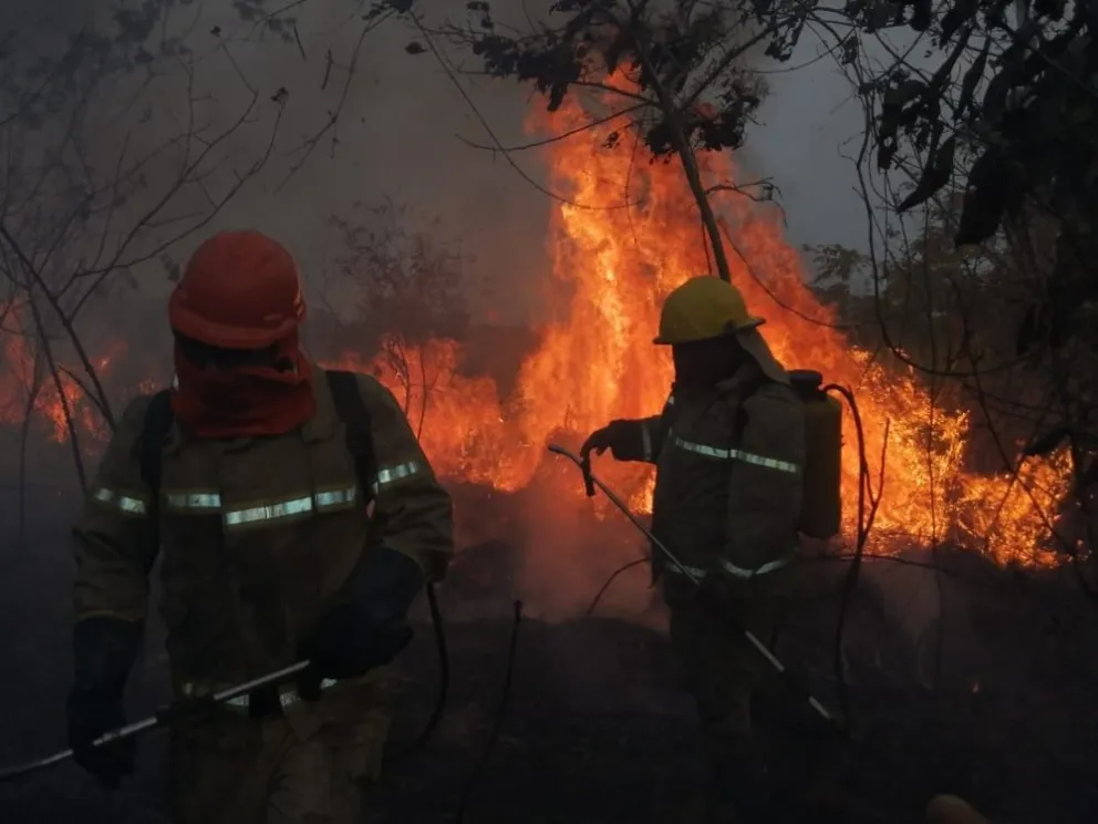 Los incendios consumieron al menos 6,9 millones de hectáreas. Foto: Archivo
