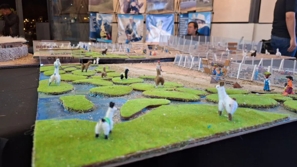 Maquetas de bofedales. Foto: IICA