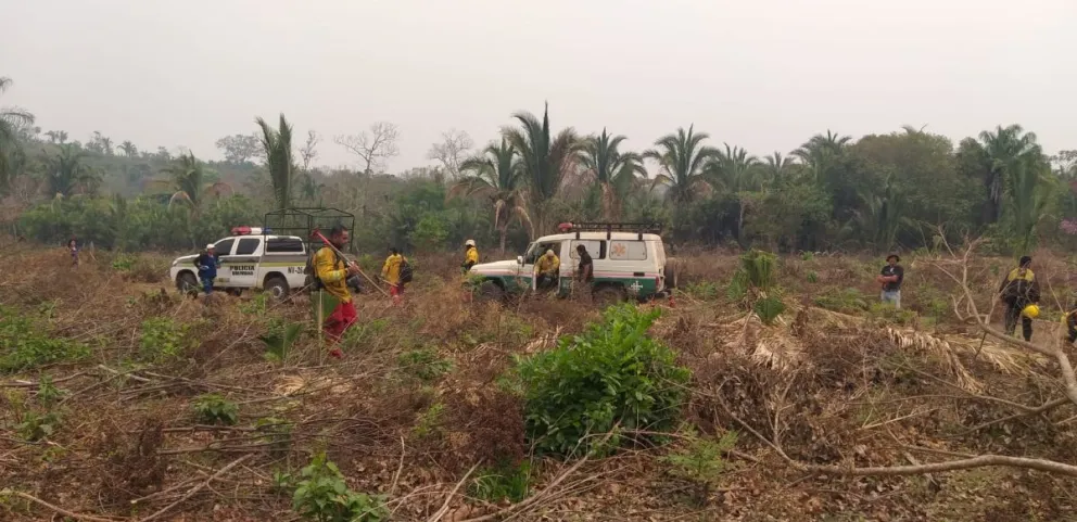 Bosques destruidos por el fuego en Santa Cruz. Foto: santacruz.gob.bo
