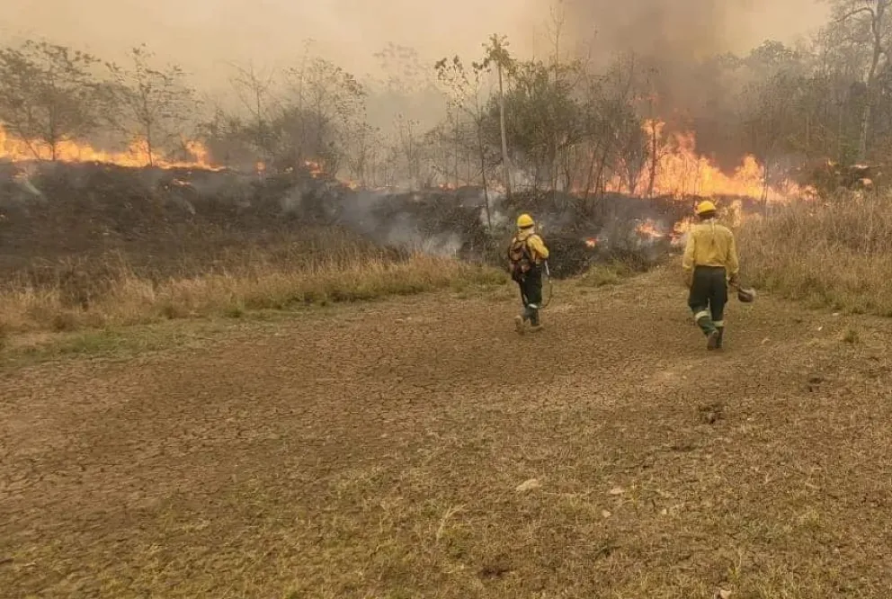 Bomberos voluntarios luchando contra el fuego en el oriente. FOTO: AMUN