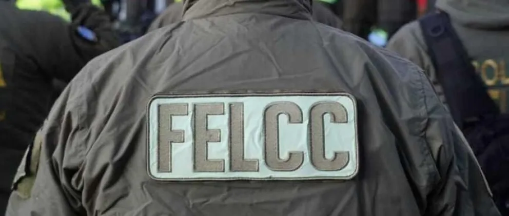 Un efectivo de la Fuerza Especial de Lucha Contra del Crimen (FELCC). Foto: ABI