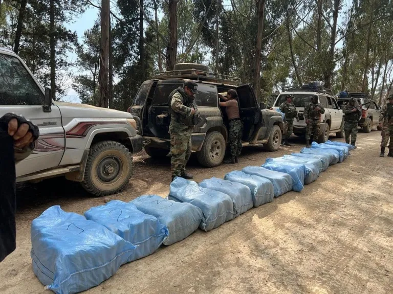 Comunarios de Independencia intentan evitar la destrucción de una plantación de marihuana de 7.500 M2