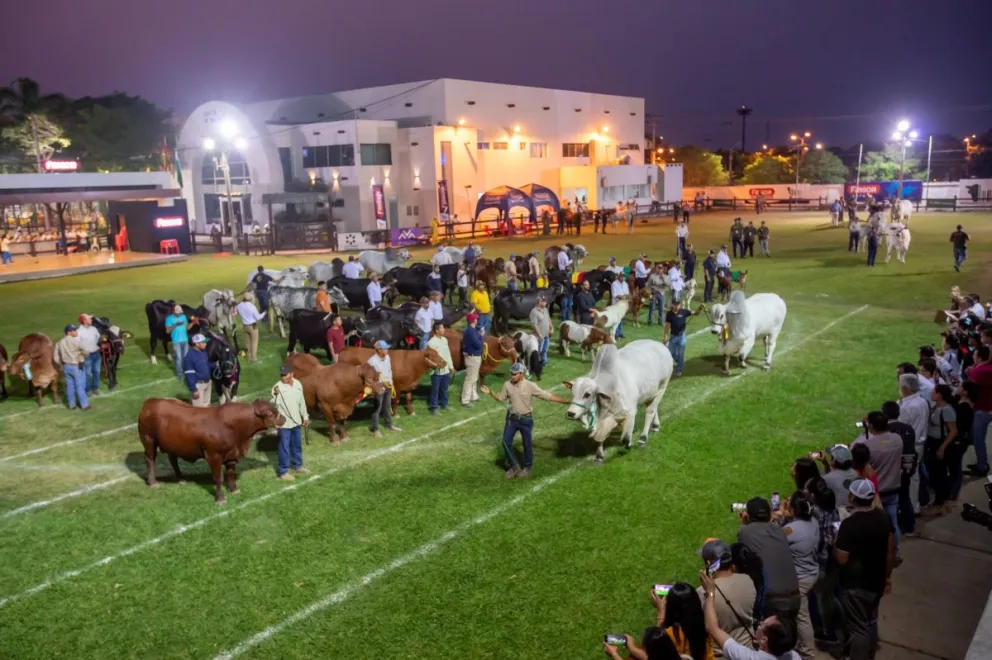 Una jornada de juzgamiento en la Expocruz 2024. Foto: Fexpocruz