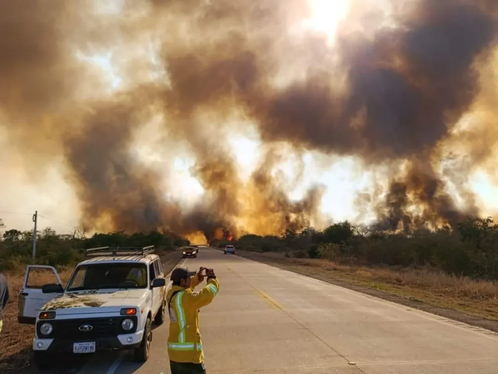 Los incendios ya consumieron más de 7 millones de ha. de bosque, según las autoridades subnacionales. Foto: Archivo