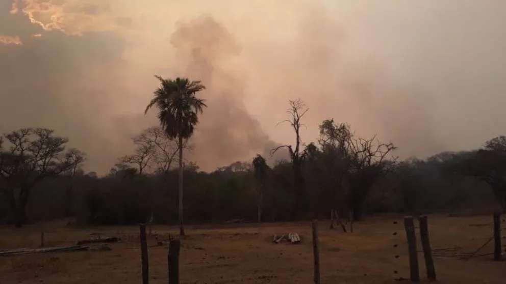 Un incendio forestal en una imagen de archivo. Foto: Sernap
