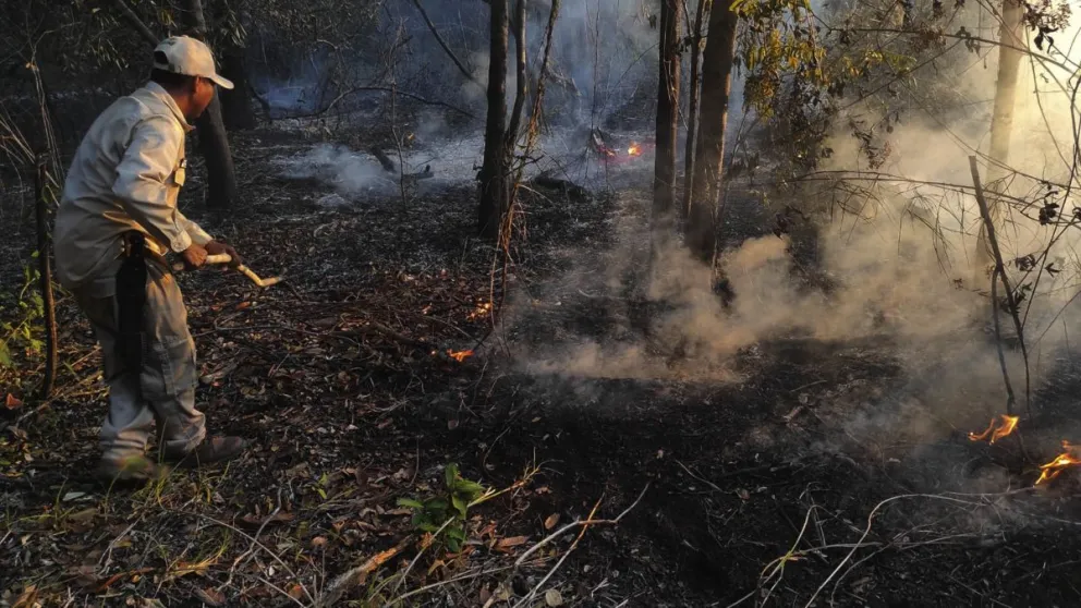 Incendios en el el parque Iténez, en Beni. Foto: APG