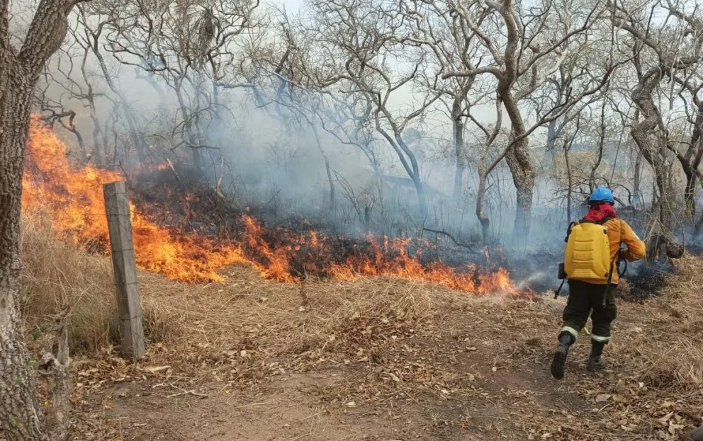 Un bombero apaga un incendio. Foto: Gobernación de Santa Cruz 