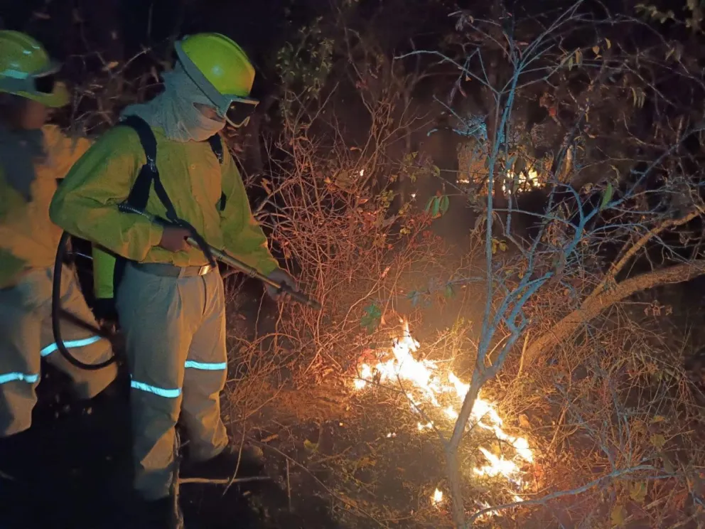 Los trabajos contra el fuego no se detienen.  Foto: Ministerio de Defensa