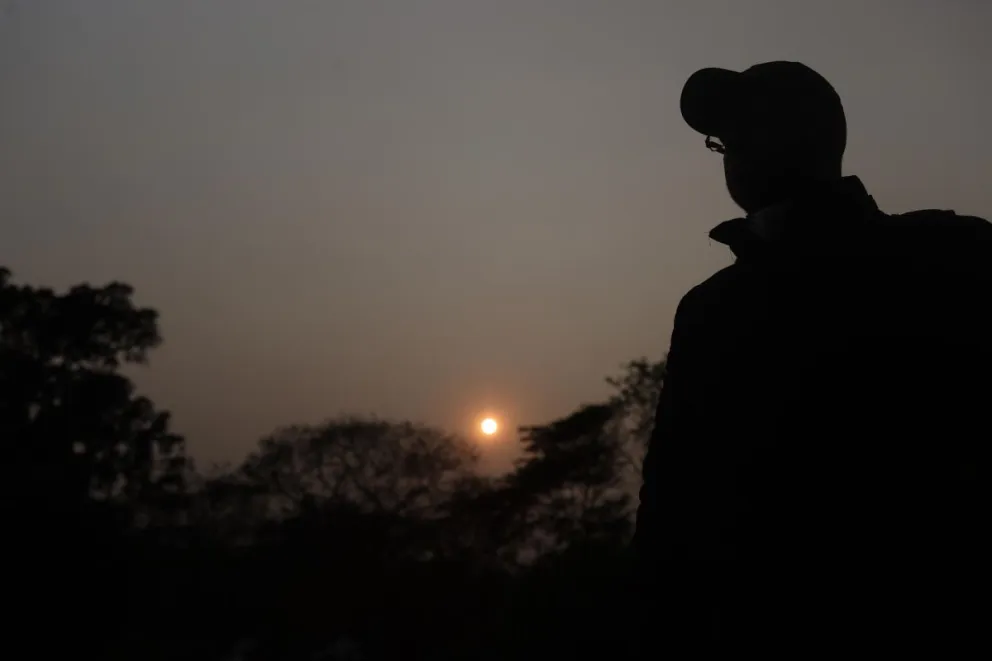 Un hombre observando en un bosque, en San Javier, el 1 de septiembre. Foto: EFE