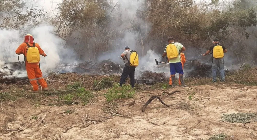 Bomberos y voluntarios luchan contra los incendios forestales en Beni. Foto: APG
