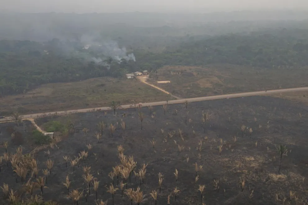 Un incendio forestal cerca a viviendas este 9 de septiembre de 2024, en Porto Velho. Foto: EFE