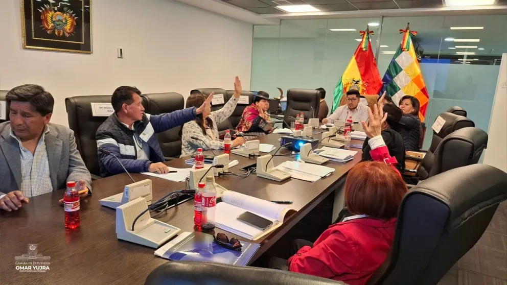 Una de las sesiones de la Comisión de Planificación de la Cámara de Diputados. Foto: Facebook Omar Yujra