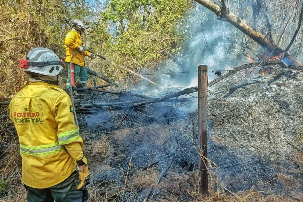 Bomberos forestales luchan contra un incendio en Santa Cruz. Foto: Gobernación de Santa Cruz