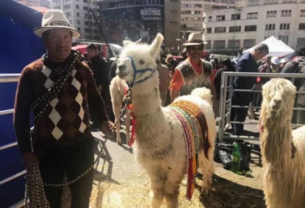 Un encuentro de productores de camélidos realizado en mayo pasado. Foto: Marco Belmonte / Visión 360