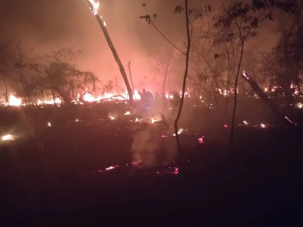 Uno de los incendios forestales que afectan a Santa Cruz. Foto: GADSC