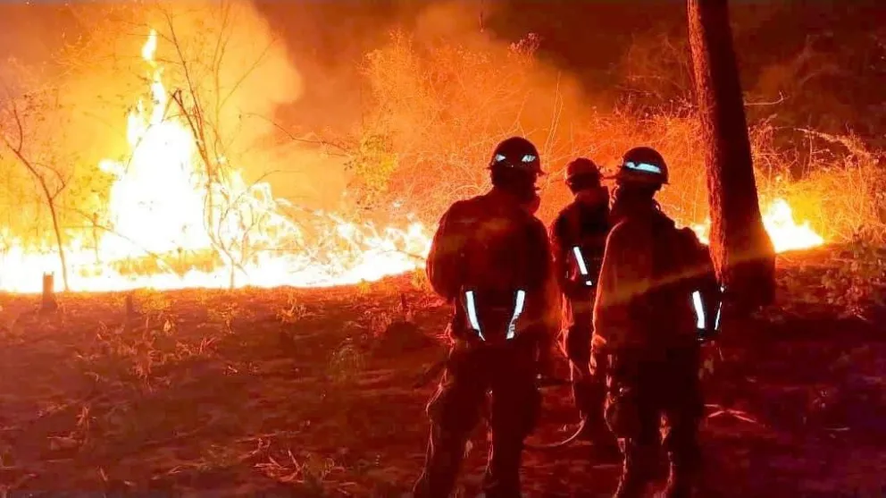 Este año, los incendios golpearon a los departamentos de Santa Cruz y Beni. Foto: Archivo