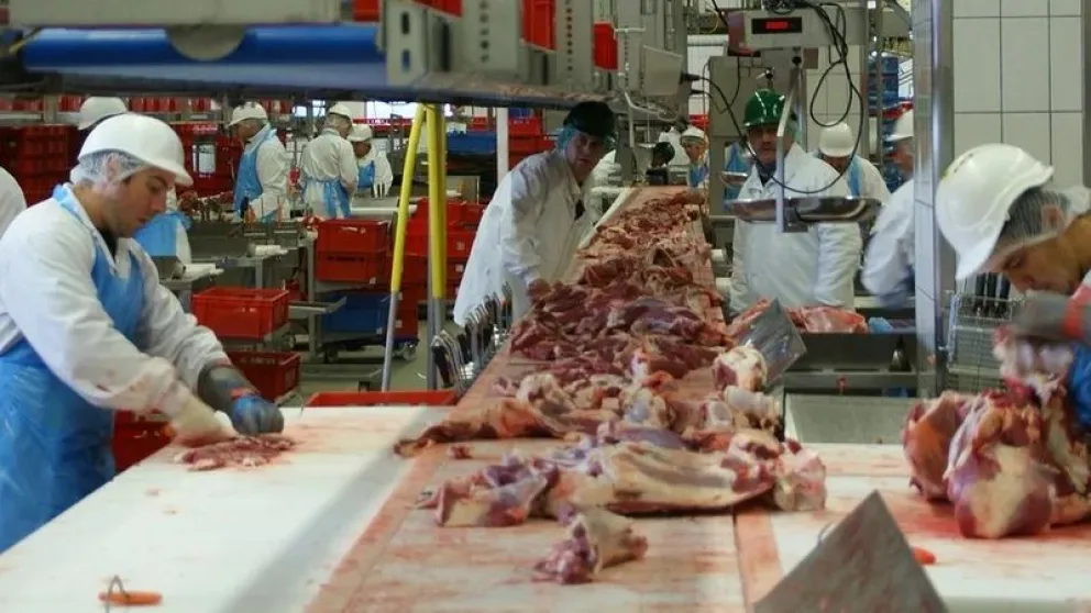 Carniceros en pleno trabajo. Foto: Red Uno