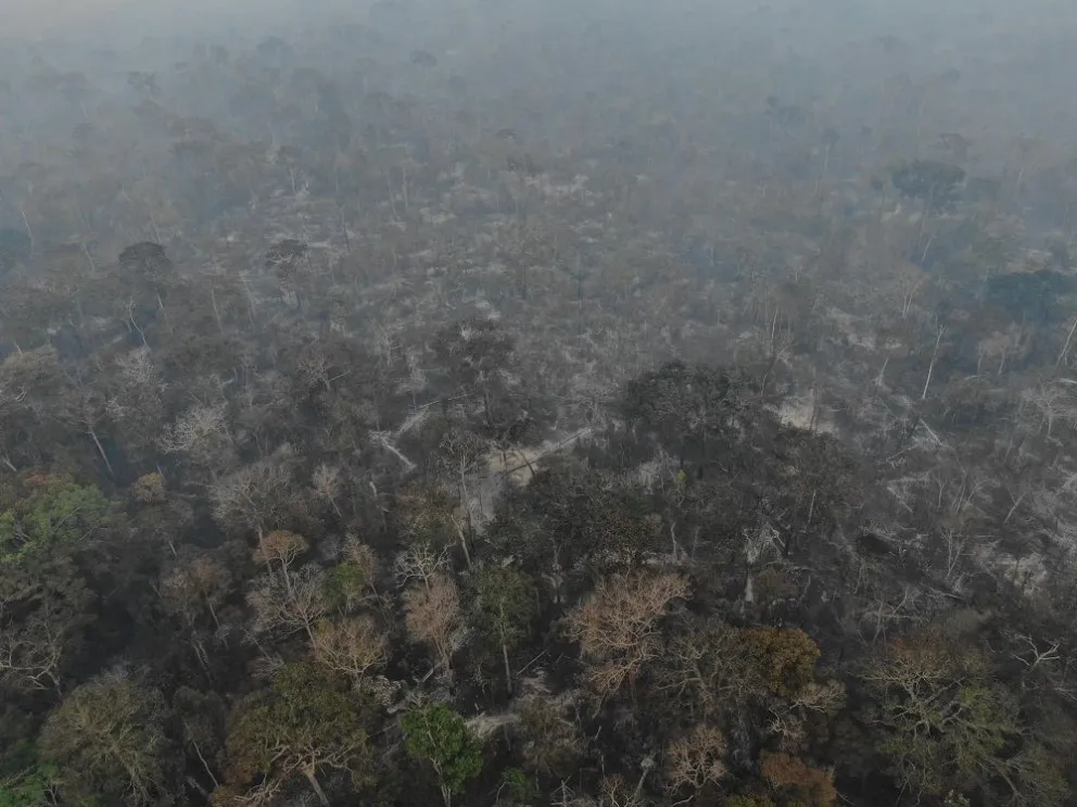 El fuego devastó hasta 10 mil hectáreas de bosque en Pando. Foto: GADP