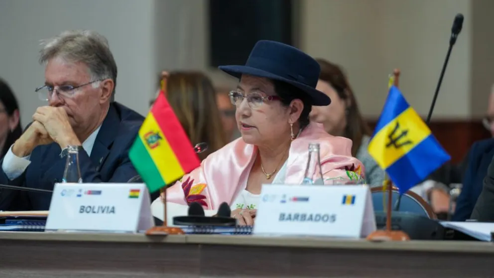Celinda Sosa durante su intervención en la Cepal. Foto: Cancillería