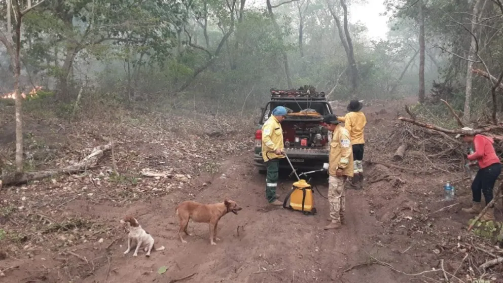 Bomberos voluntarios en Roboré, realizan inspecciones para evitar que se reinicie el fuego en áreas boscosas. Foto: GADSC.