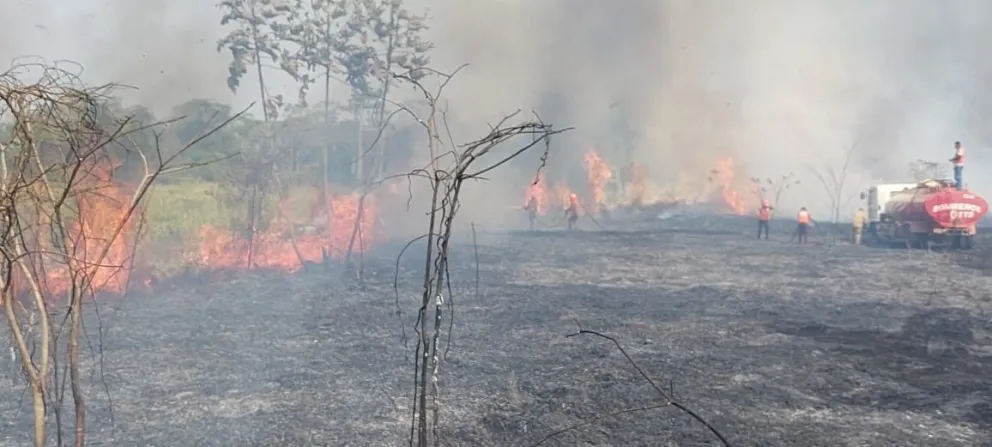 Según Oxfam, las multas por incendios forestales en Bolivia son mínimos. Foto: ABI