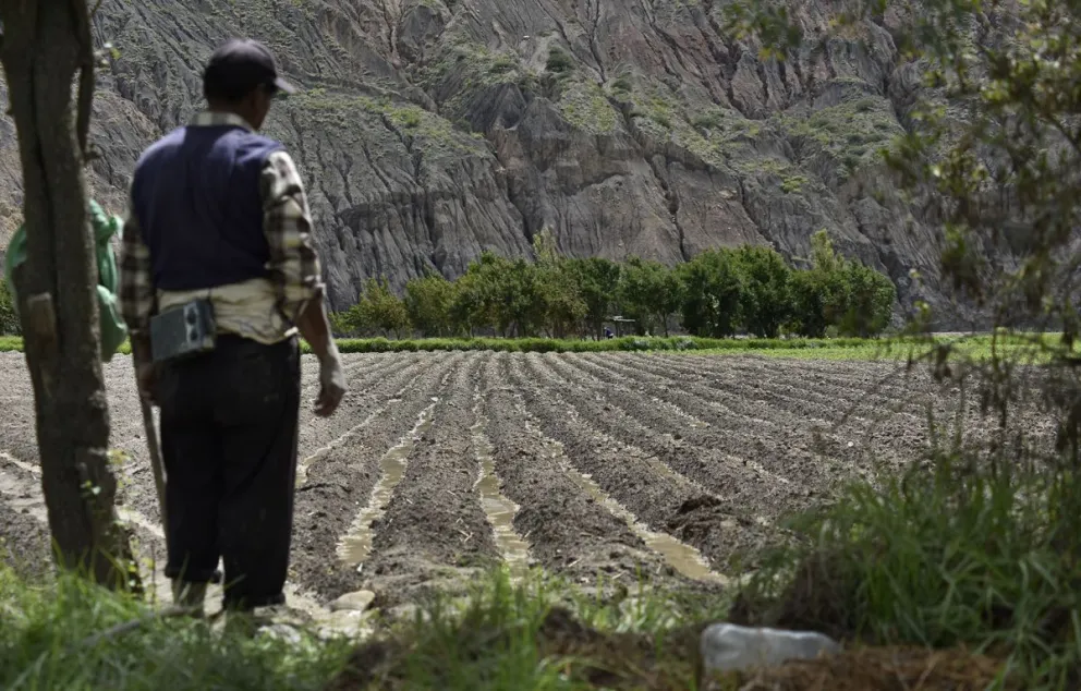 La producción de alimentos se encuentra en riesgo.  Foto: Freddy Barragán / Fundación Alternativas