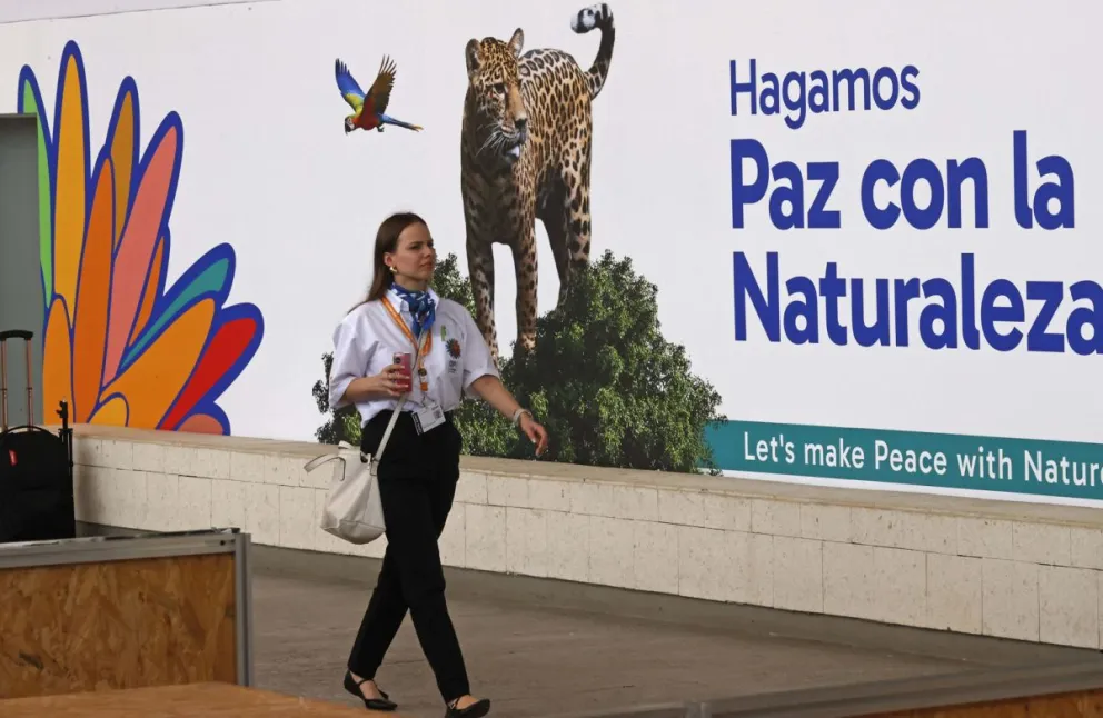 La ciudad colombiana de Cali levantará este domingo el telón de la COP16 para reunir a representantes de más de 190 países. Foto: EFE