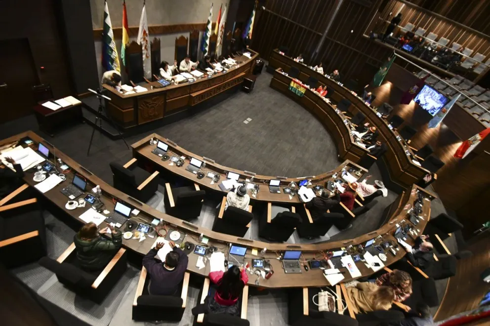 Una sesión ordinaria de la Cámara de Senadores. Foto: APG