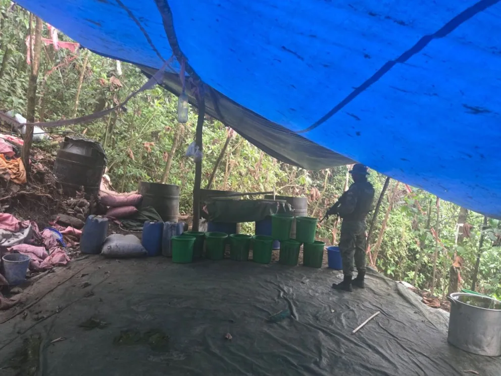 Imagen que posteó el ministro de una de las fábricas de droga en el Chapare. Foto: @EDelCastilloDC