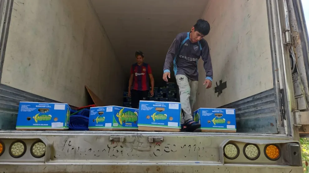 Banano de la empresa Banacorp dirigido a la exportación que por los bloqueos no pueden salir del Chapare. Foto: Banacorp