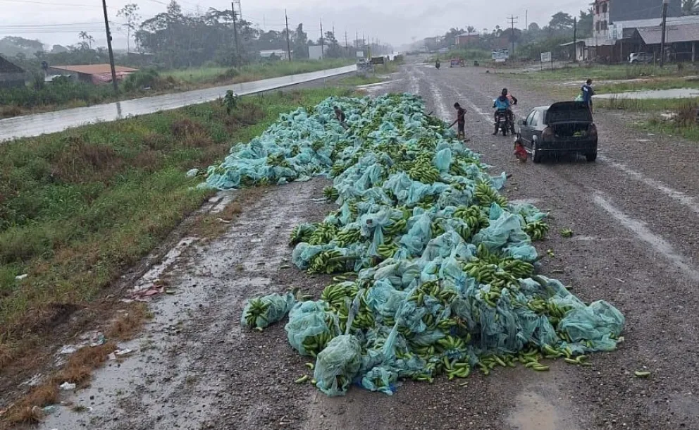 Las bananas que fueron botadas en la carretera este sábado Foto: RRSS