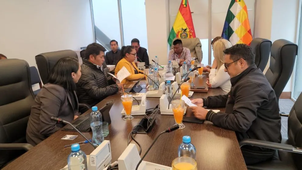 La Comisión de Justicia de la Cámara de Diputados, en plena sesión. Foto: Cámara de Diputados