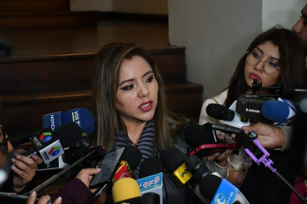 La viceministra de Comunicación, Gabriela Alcón, este martes. Foto: APG