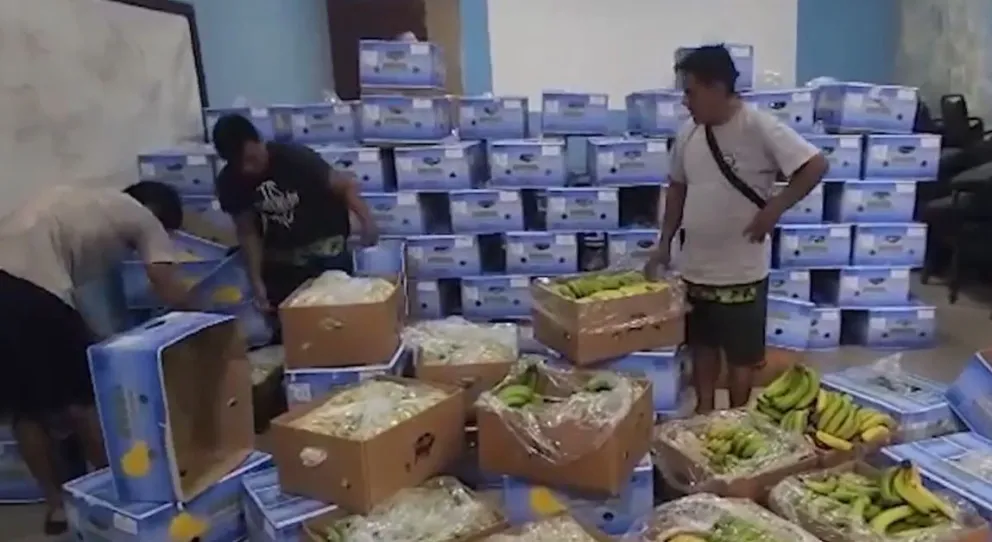 Cajas de banano para la exportación. Foto: captura Opinión