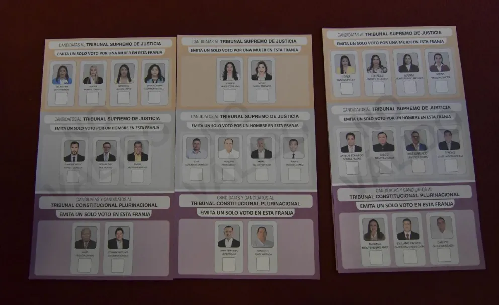 Una de las papeletas para votar en las elecciones judiciales. Foto: APG