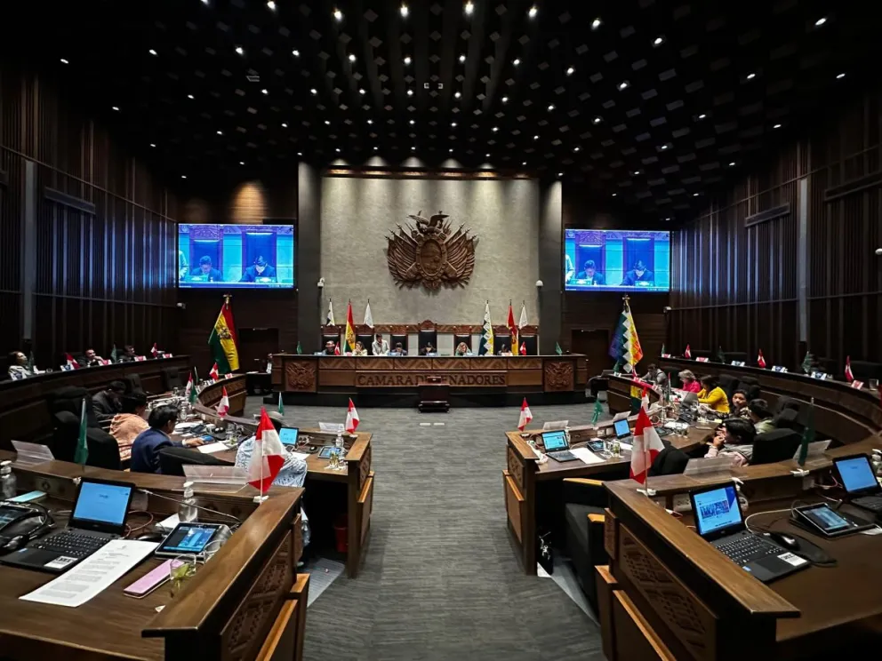La sesión de la Cámara Alta, este miércoles. Foto: Senado de Bolivia