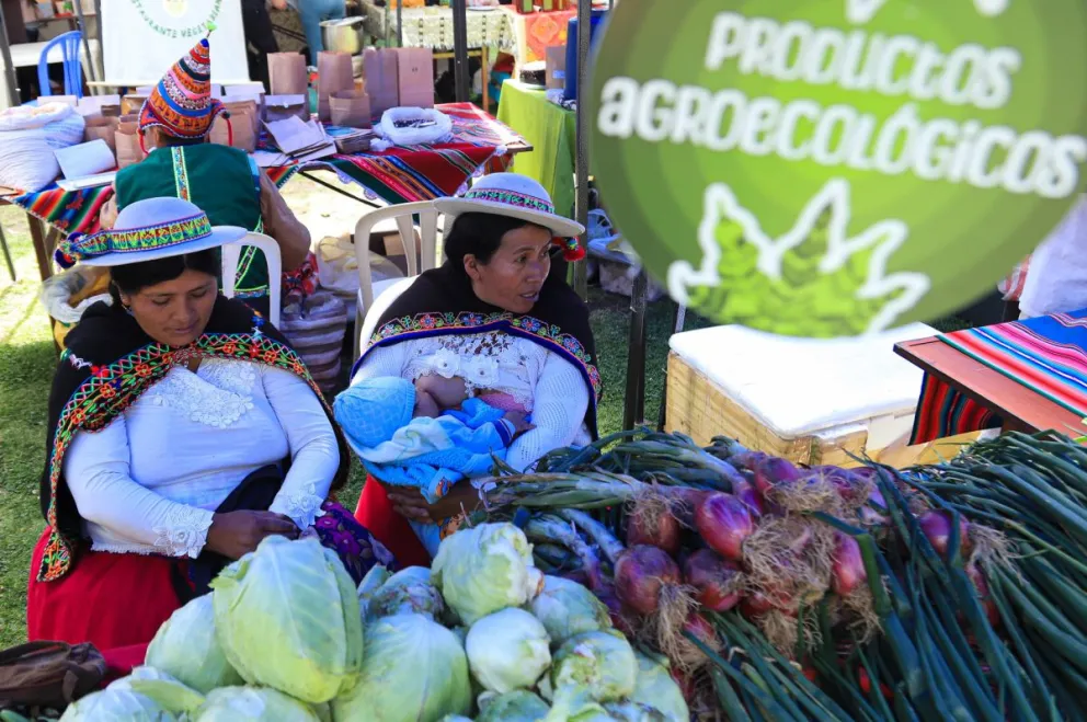 Productores venden alimentos durante el festival 'Diversidad es vida - Voces y sabores del bosque', en La Paz. Foto: EFE