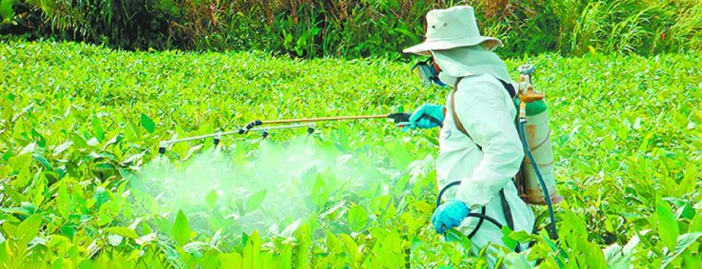 Un productor utiliza equipo especial para protegerse mientras fumiga con un plaguicida un campo de tomates. El traje revela la peligrosidad de los químicos. FOTO: Fundación Solón
