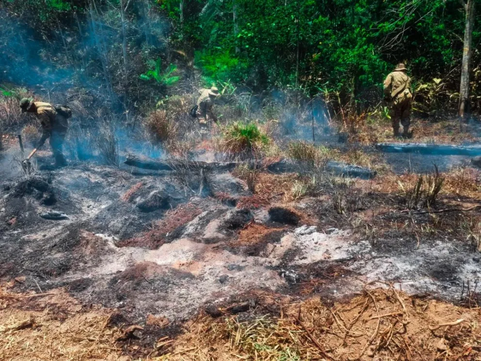 Los incendios forestales afectaron en mayor medida al oriente boliviano. Foto: ABI