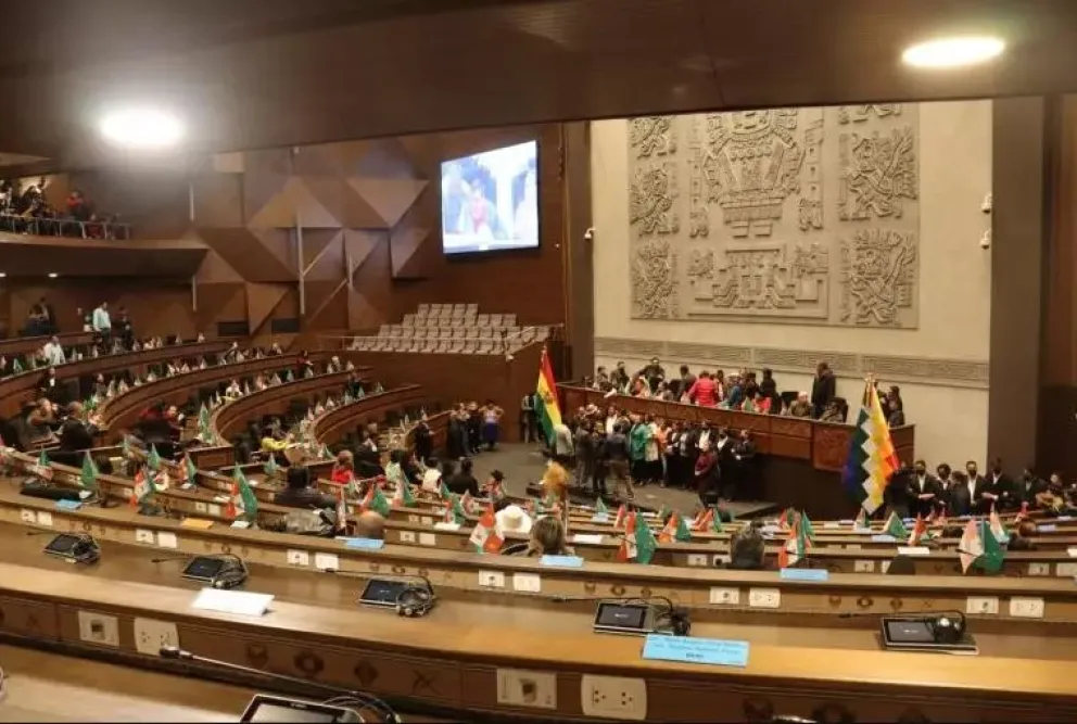 La sesión en la Cámara Baja para la elección de comisiones. Foto: Cámara de Diputados
