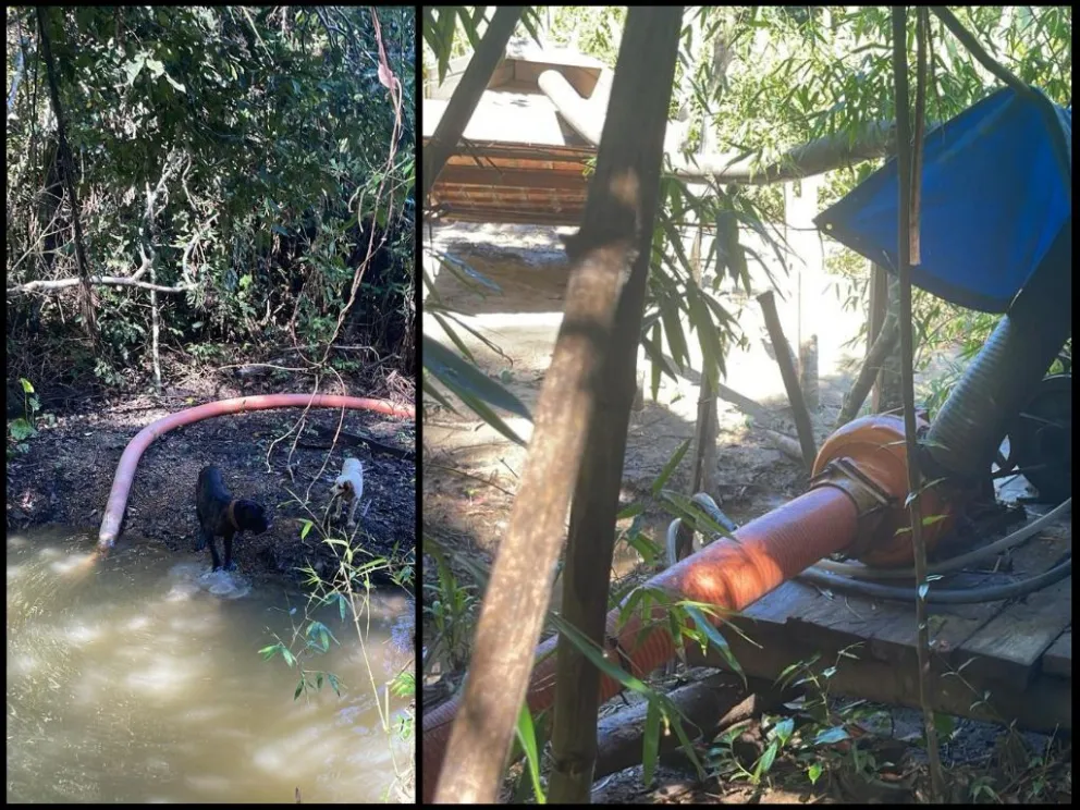 Imágenes de los asentamientos en el territorio Toromona, que pertenece a un pueblo en aislamiento voluntario. Foto: Contiocap.  