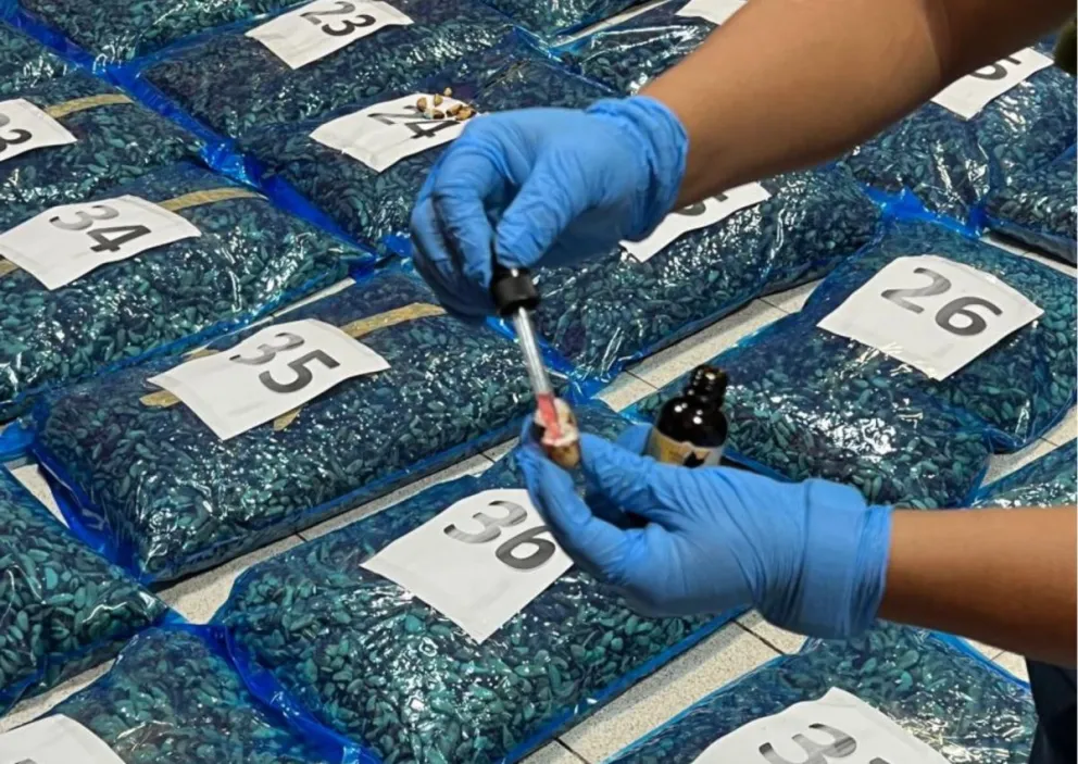 La droga impregnada en almendras que pretendía ser exportada a Europa. Foto: Clave300.1