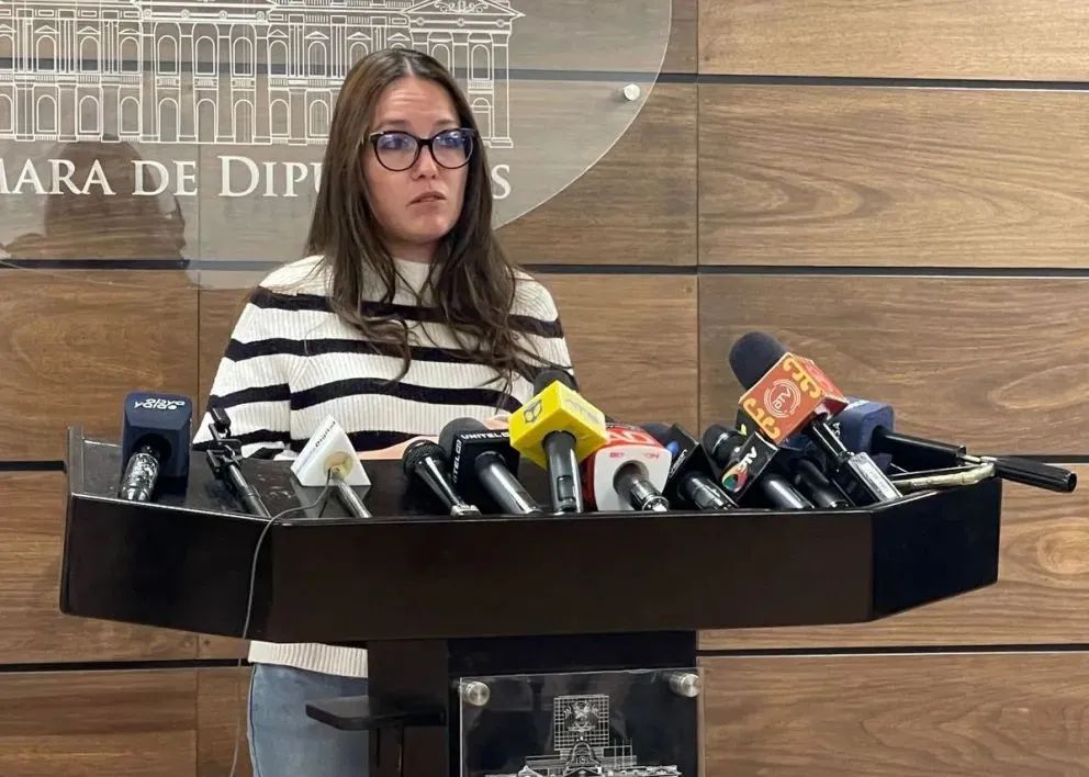 La diputada Luciana Campero, en una conferencia en la Cámara de Diputados. Foto: Prensa Luciana Campero