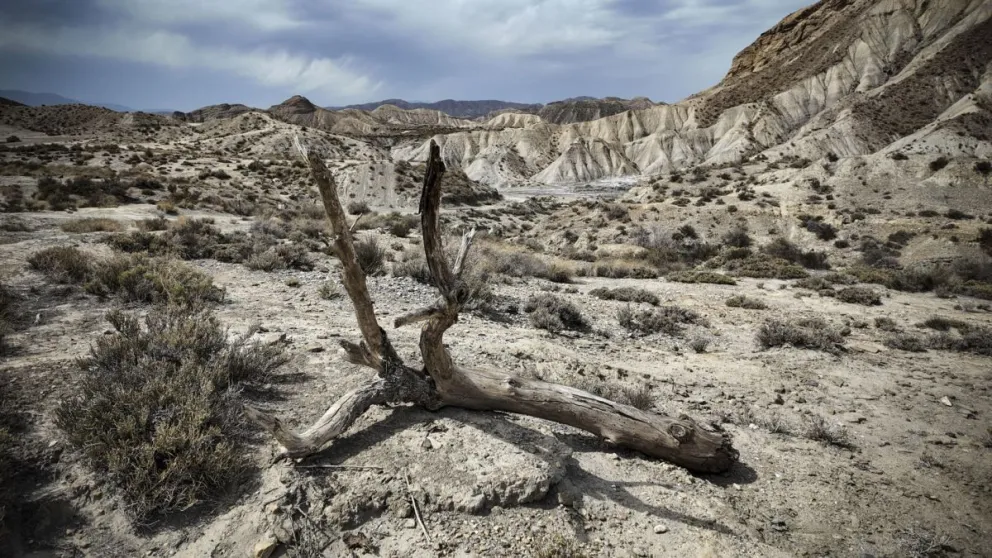 Imagen de archivo del desierto de Tabernas en Almería. Foto: EFE
