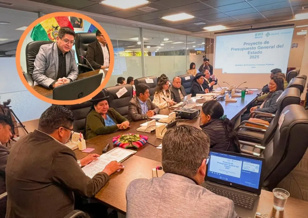 Montenegro, en la sesión de la comisión de este viernes. Foto: Prensa Diputados 