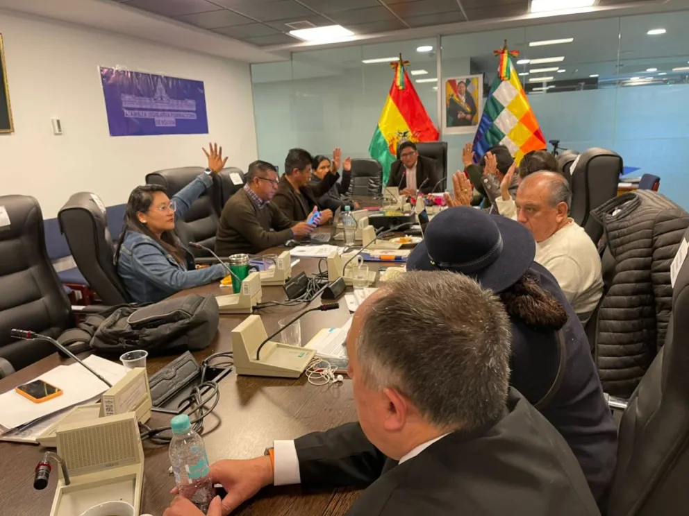 Momento en que la Comisión de Planificación y Economía Plural aprueba en grande el proyecto de ley del PGE 2025. Foto ABI.