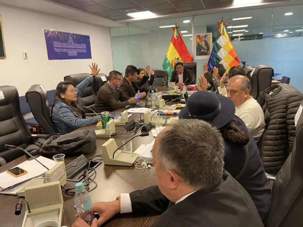 Las disposiciones fueron eliminadas por unanimidad. Foto: Diputados Bolivia