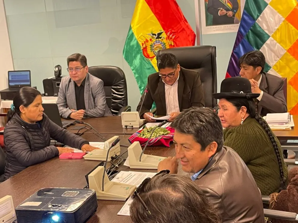 El ministro de Economía, Marcelo Montenegro, con los miembros de la Comisión de Planificación y Economía Plural de Diputados. Foto: ABI