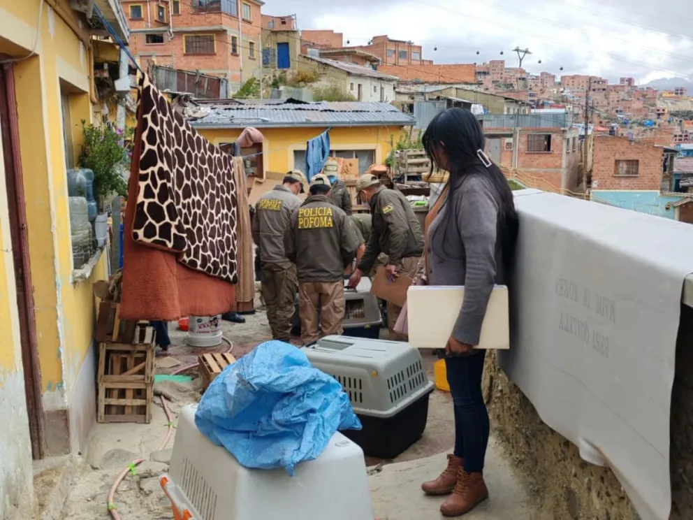 El día del allanamiento a la vivienda de la mujer. Foto: APLAP
